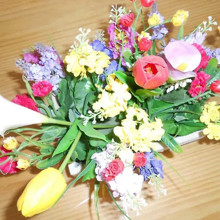 公寓 El Portal Viejo 加比祖尔拉山谷